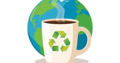 5 Sustainable Coffee Makers For The Eco-Conscious