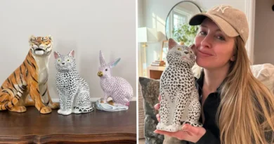 A woman spent $25 on a quirky cat statue at an estate sale. It turned out to be an Italian art piece worth $3,000.