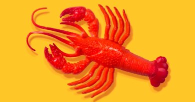 After all the hype, some AI experts don't think OpenClaw is all that exciting | TechCrunch