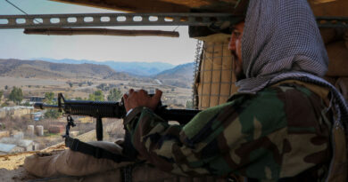 Analysis-Pakistan's Afghan salvo risks turning 'open war' into long crisis