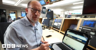 BBC explains the Trump-related Epstein files the DOJ is accused of withholding