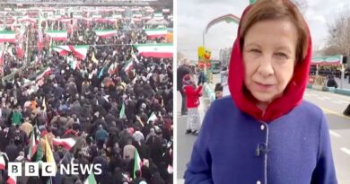 BBC in Tehran as Iran marks 47th anniversary of Islamic revolution