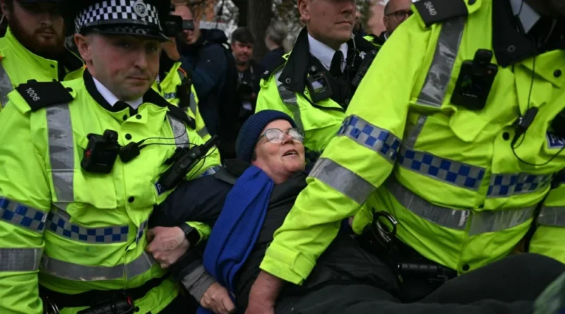 Pro-Palestine protestor arrested