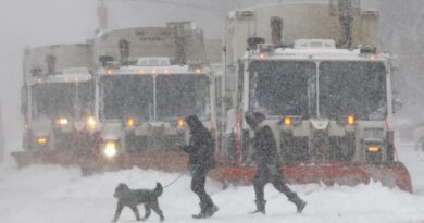 Electricity Learnings From Great Freeze Of January 2026 In U.S.