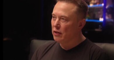 Elon Musk speaks on a podcast