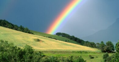 Ex-Apple team launches Acme Weather, a new take on weather forecasting | TechCrunch Ex-Apple team launches Acme Weather, a new take on weather forecasting | TechCrunch