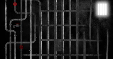 An illustration of prison bars.