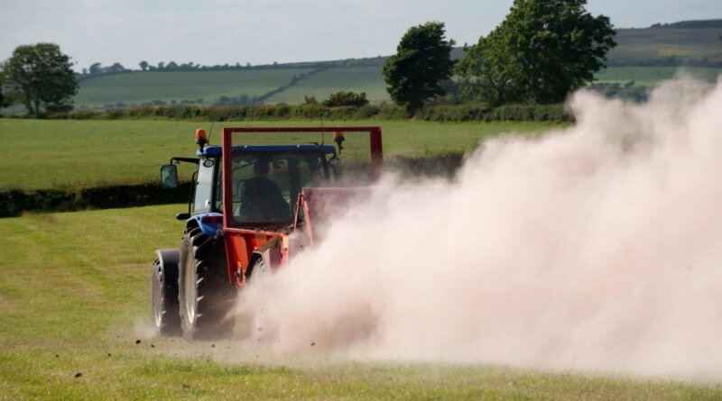Farmer spreading chicken manure mixed with lime on newly harvested meadow