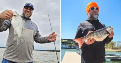 I used an AI-powered app to lose 70 pounds. I reversed my diabetes and can keep up with my 8-year-old.