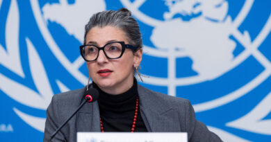 Independent UN body condemns 'vicious attacks' on UN expert on Palestinian rights