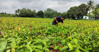 Varaha project at a farm