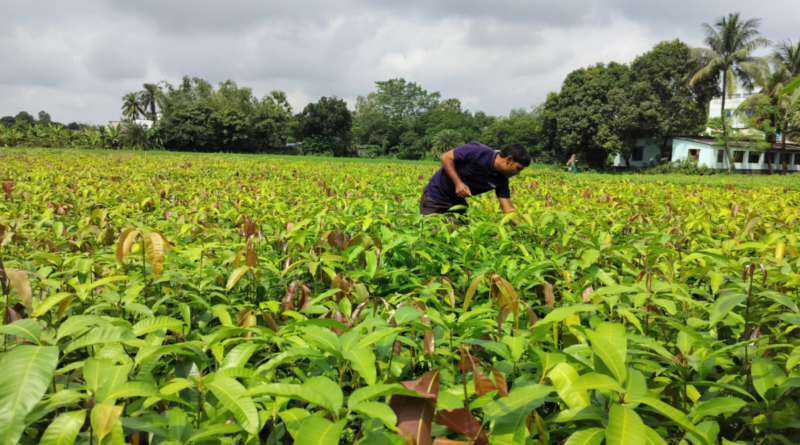 Varaha project at a farm