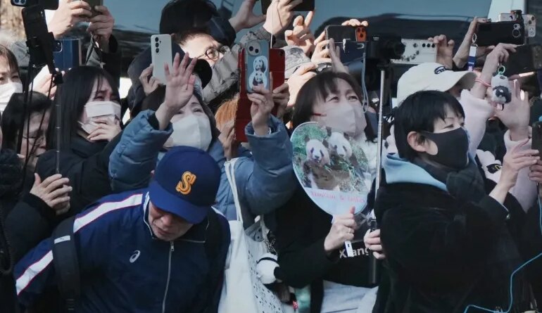 Panda lovers wave goodbye to a truck believed to be carrying the twin pandas upon a departure from Ueno Zoo in Tokyo on January 27, 2026, heading towards their return to China. (Photo by Kazuhiro NOGI / AFP)