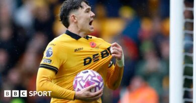 Wolves forward Jorgen Strand Larsen celebrates scoring in the Premier League
