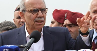 Lebanon building collapse toll rises to 9: civil defence