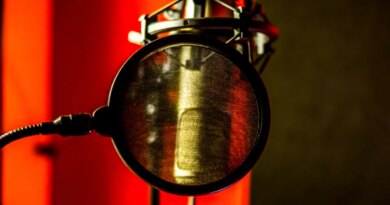 Longtime NPR host David Greene sues Google over NotebookLM voice | TechCrunch