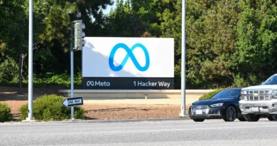 Meta AI alignment director shares her OpenClaw email-deletion nightmare: 'I had to RUN to my Mac mini'