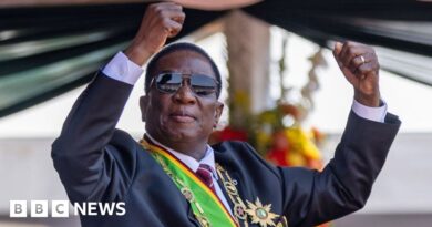 Mnangagwa's 2030 ambition launched: Zimbabwe cabinet approves draft law to extend presidential terms