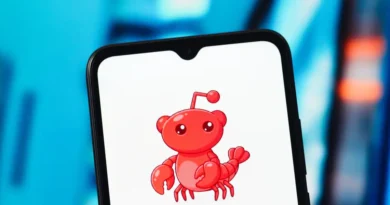 Moltbook is about as fun as watching two Roombas bump into each other