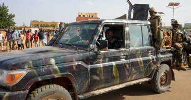 Moscow confirms Russian forces helped repel ISIL attack on Niger airport