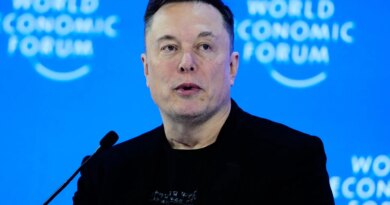 Musk labels Spain PM ‘tyrant’ after Madrid proposes social media curbs