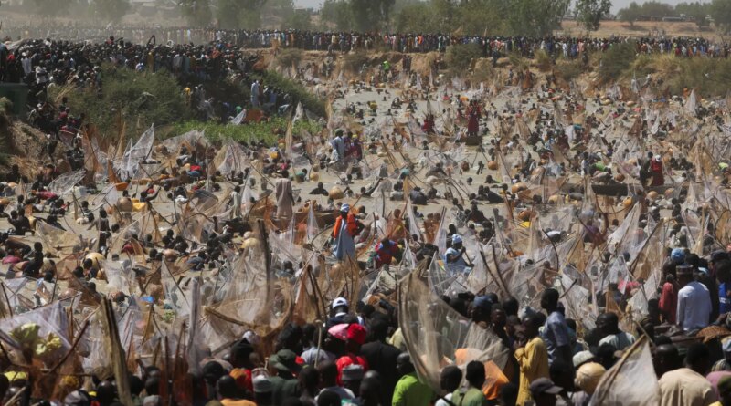 Nigeria’s Argungu fishing contest returns after years of pause