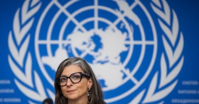 Over 100 artists for Palestine back UN’s Albanese after resignation calls
