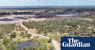 Qld coalmine expansion approved by Albanese government will clear habitat and fuel climate crisis, scientists say