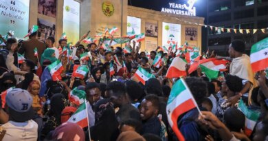 Somaliland minister says US may access its minerals, military bases: Report
