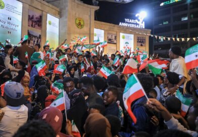 Somaliland minister says US may access its minerals, military bases: Report
