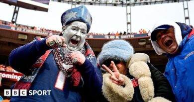 New England Patriots fan