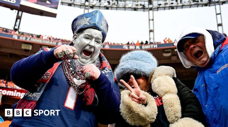 New England Patriots fan