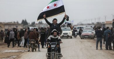 Syria govt forces enter Qamishli under agreement with Kurds