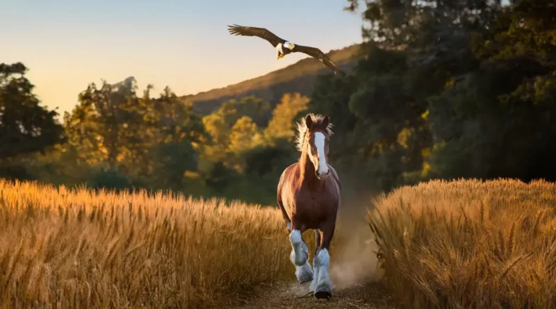 The Safer Bowl: With tensions running high, Super Bowl advertisers avoid politics and play for laughs