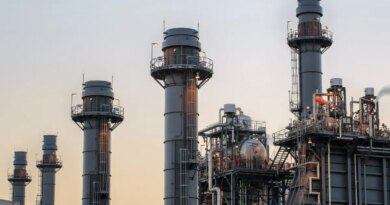 Natural gas power plant smoke stacks stand against a twilight sky.