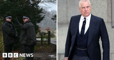 The day Andrew Mountbatten-Windsor was arrested