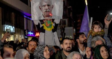 Turkey MPs back moves to 'reintegrate' former PKK fighters