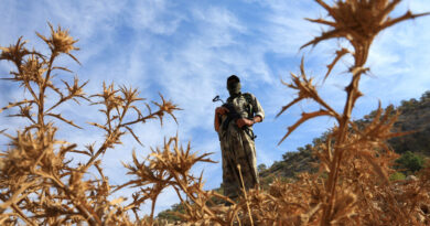 Turkish lawmakers to vote on report advancing PKK peace process
