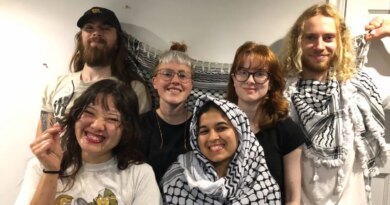 UK pro-Palestinian activists not guilty of aggravated burglary