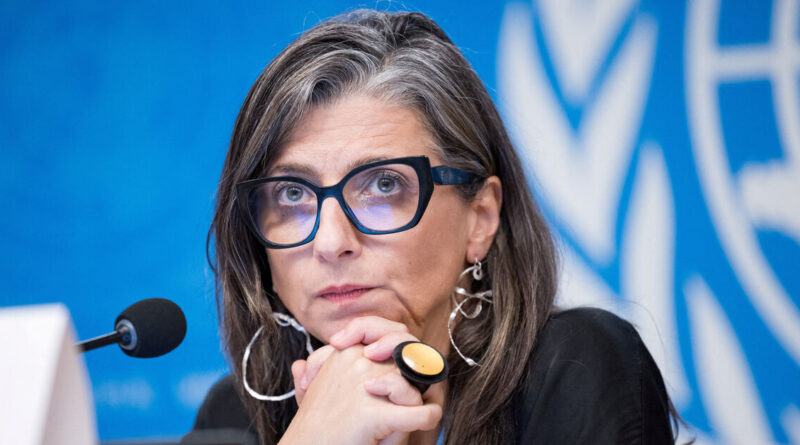 UN expert on Palestinian territories denounces 'toxic' attacks against her