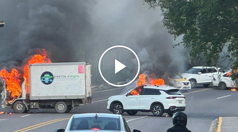 Video: Amid Chaos in Mexico, False Images Stoked Fears