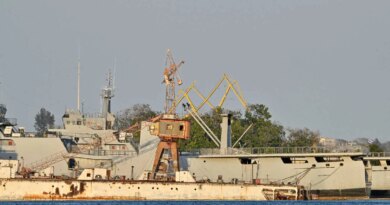 Ships docked in a port, with trees behind them. 
