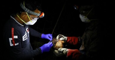 WHO says fatal case of Nipah virus confirmed in Bangladesh