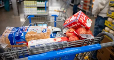 Walmart's growing share of high-income shoppers helped its e-commerce business turn into a powerhouse