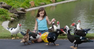 We swore by living in big cities but chose a suburb 17 years ago. Despite drawbacks, the decision has really paid off.