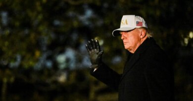 What is the US strategic minerals stockpile?