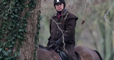 Andrew Mountbatten-Windsor rides a horse in Windsor Great Park