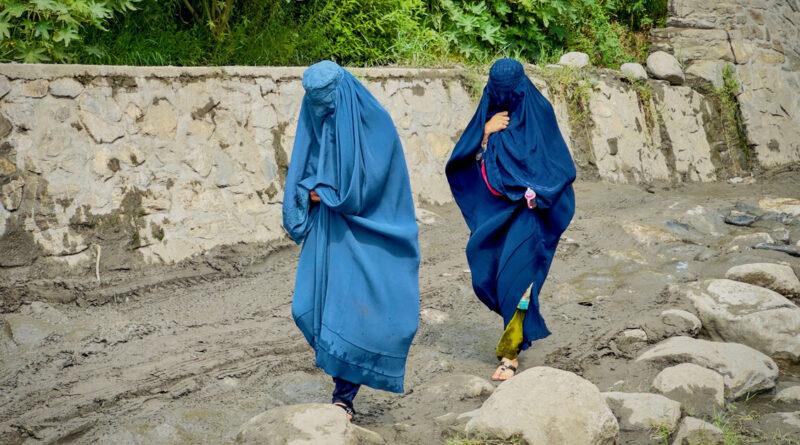 Women at risk as Taliban curbs hit Afghan healthcare, UN expert warns