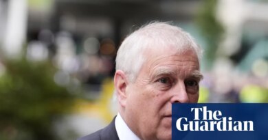 ‘Police need to investigate’: will Andrew be questioned over his relationship with Epstein?