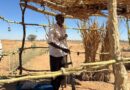 'They beat us with whips': Sudan RSF detainees tell of horrors in El-Fasher